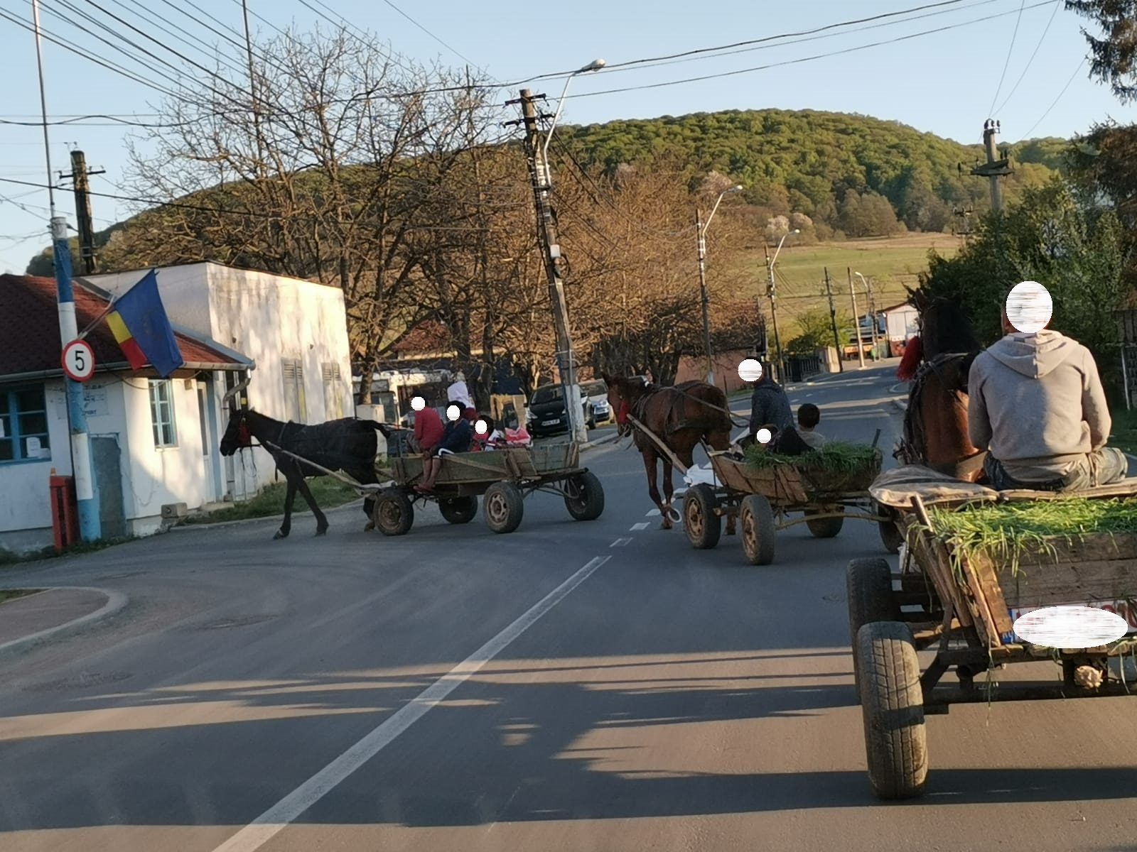 Controale și acțiuni desfășurate în acest weekend de Poliția Locală Sighișoara